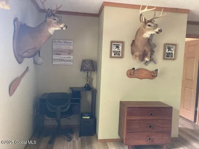 $369,900 | 841 Battle Hill Road, Hague, NY 12836