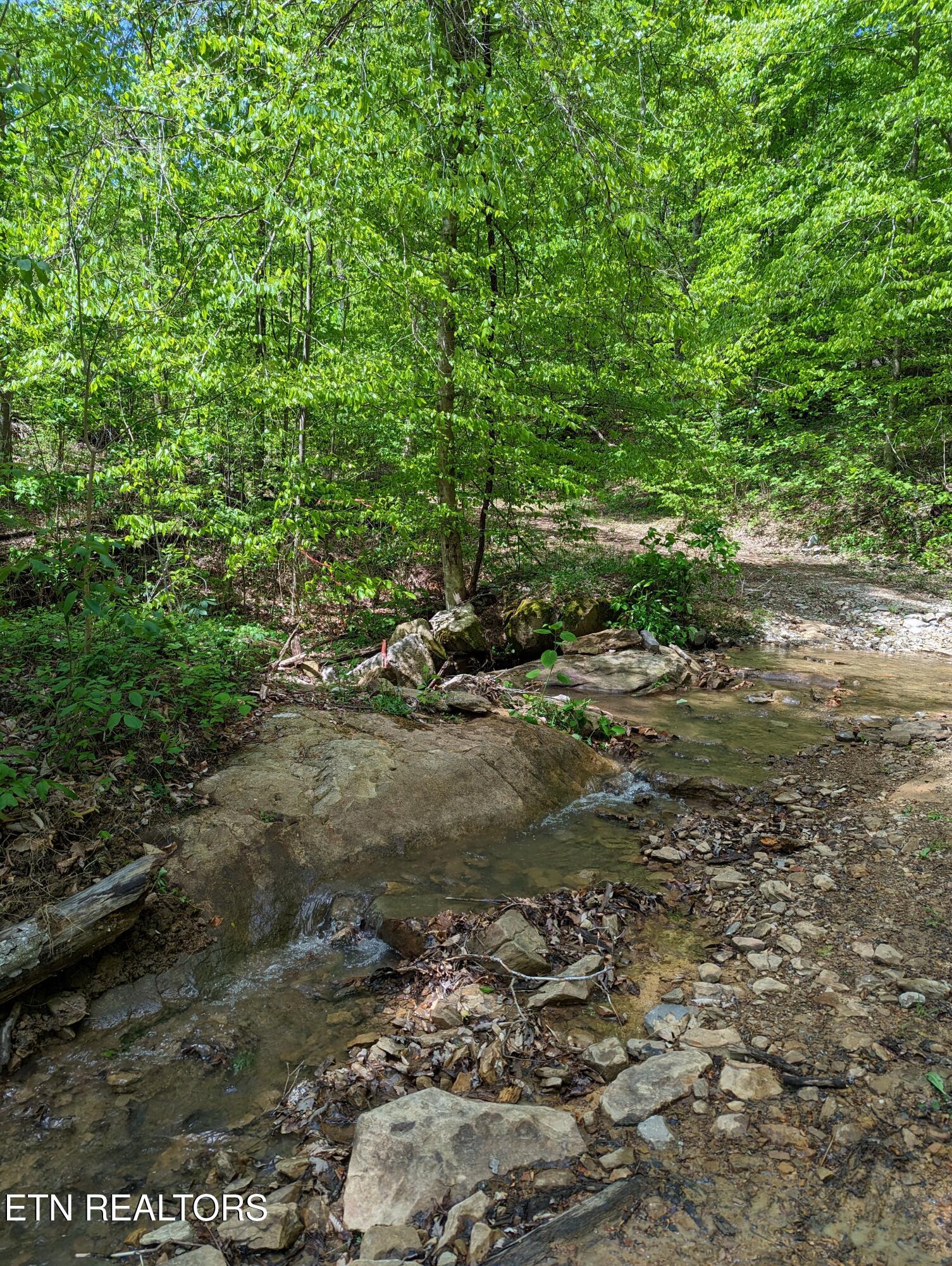Cherokee Path Jamestown, TN 38556 - Photo 14 of 14 14
