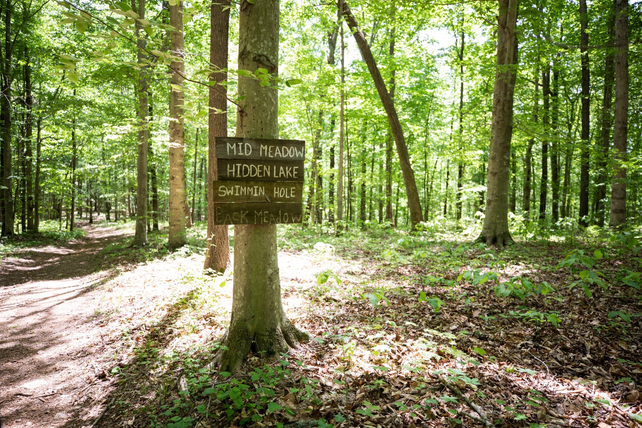 5845 Old 96 Franklin, TN 37064 - Photo 63 of 70