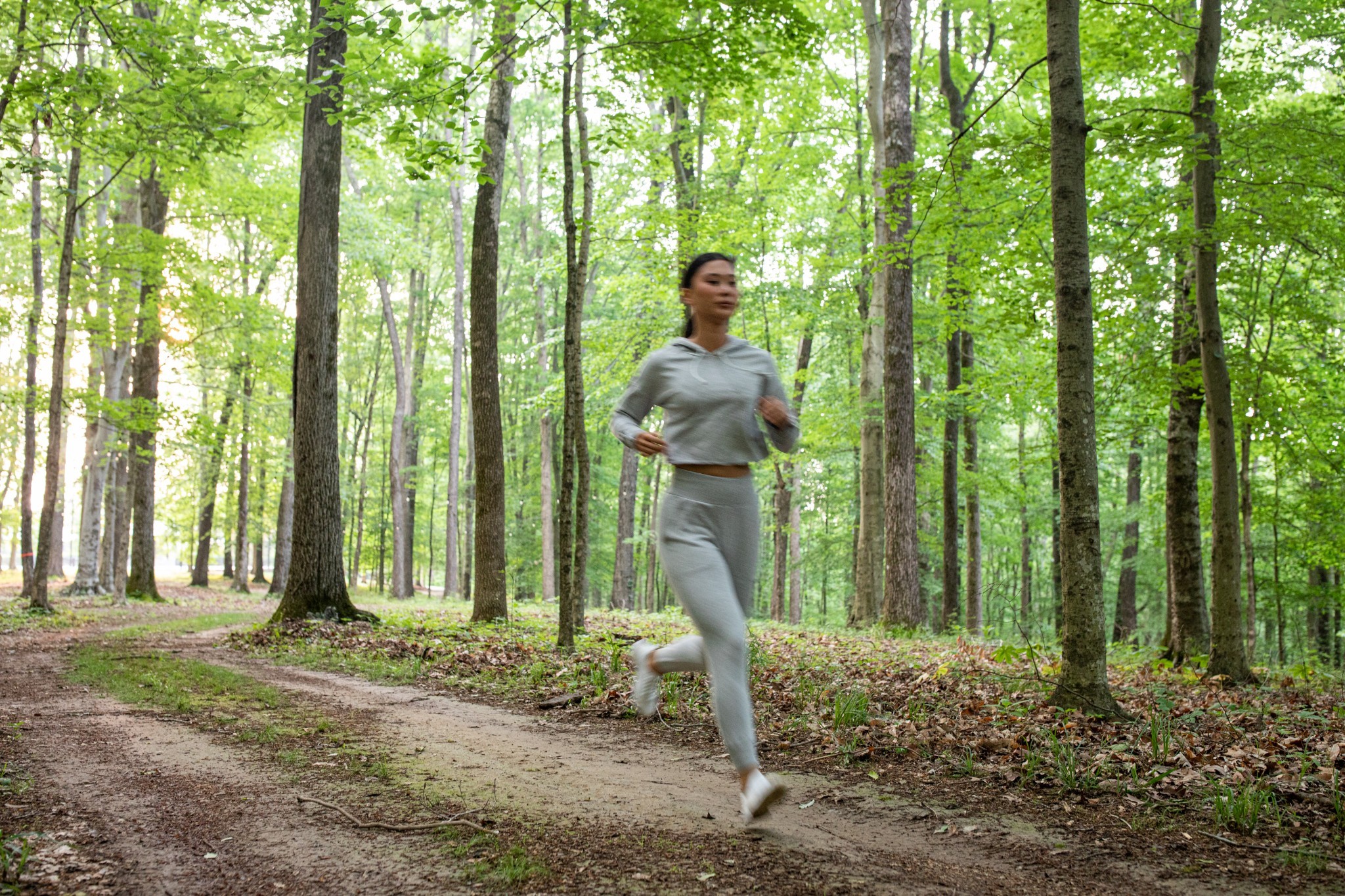 5845 Old 96 Franklin, TN 37064 - Photo 64 of 70 a view of a park that has a tree in it