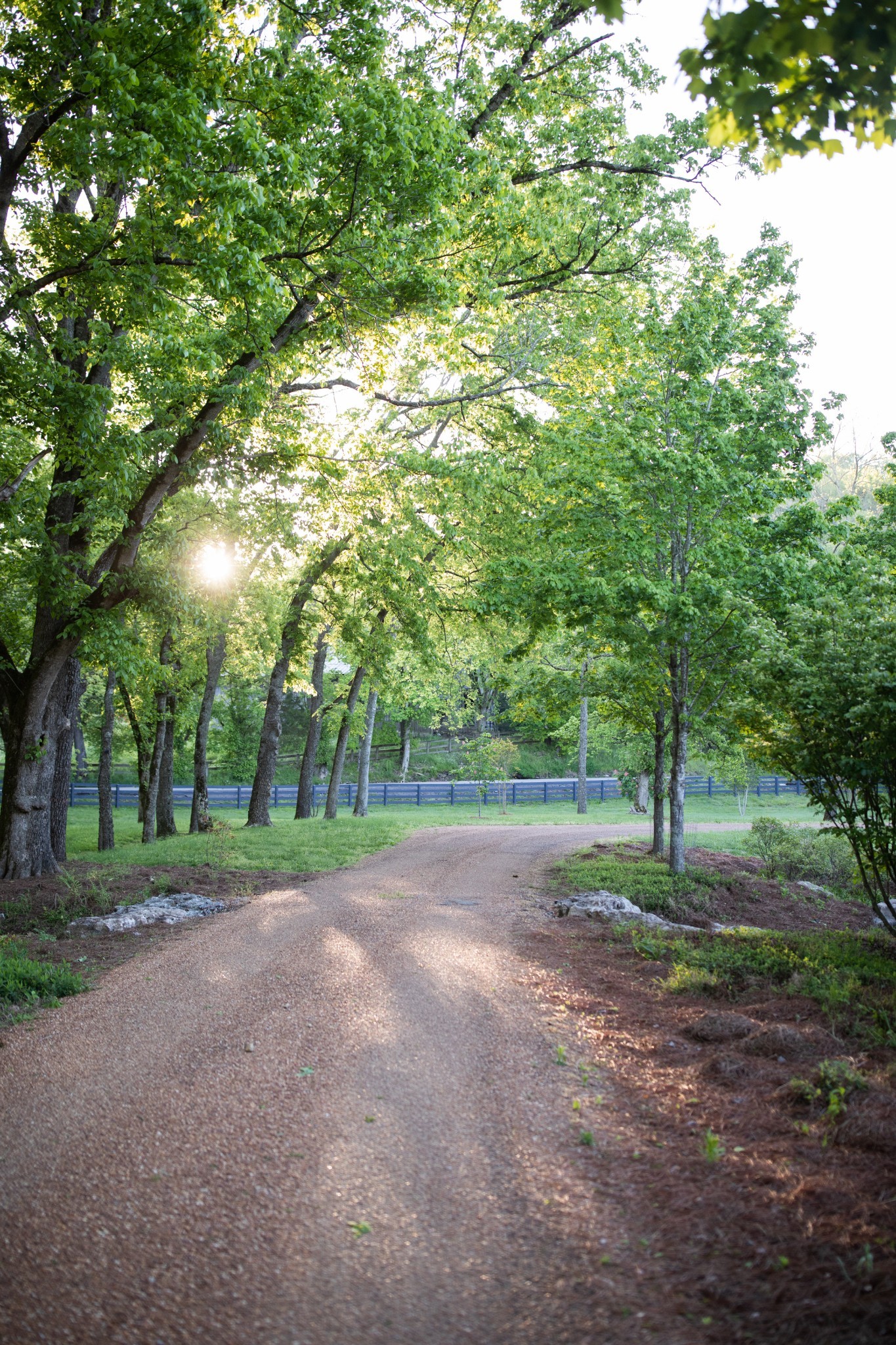 5845 Old 96 Franklin, TN 37064 - Photo 67 of 70 a view of outdoor space with trees