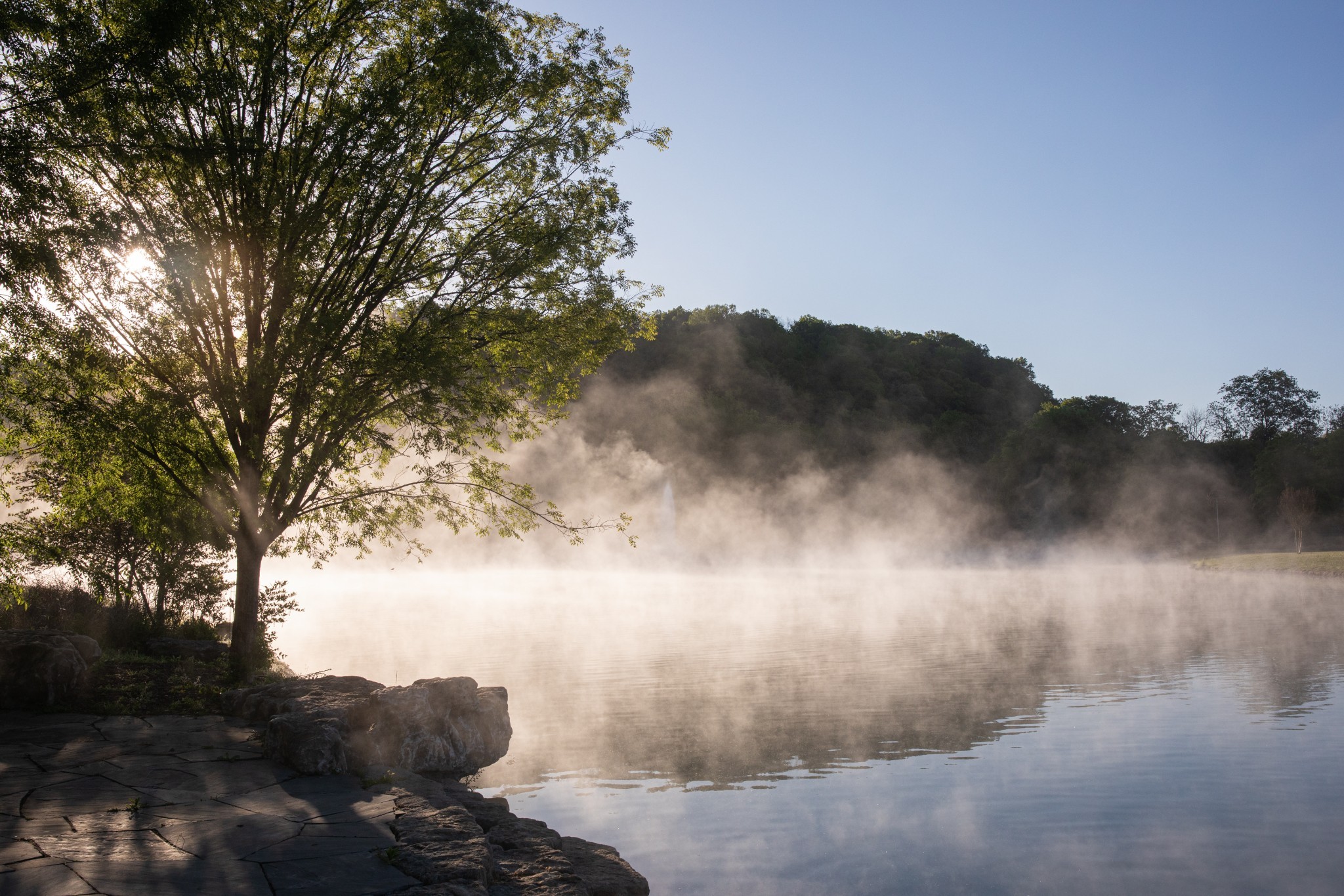 5845 Old 96 Franklin, TN 37064 - Photo 9 of 70 a view of a lake with a mountain in the background