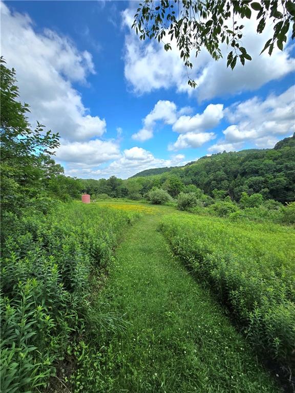 133 Lower Hayes Road Kittanning, PA 16201 - Photo 40 of 48