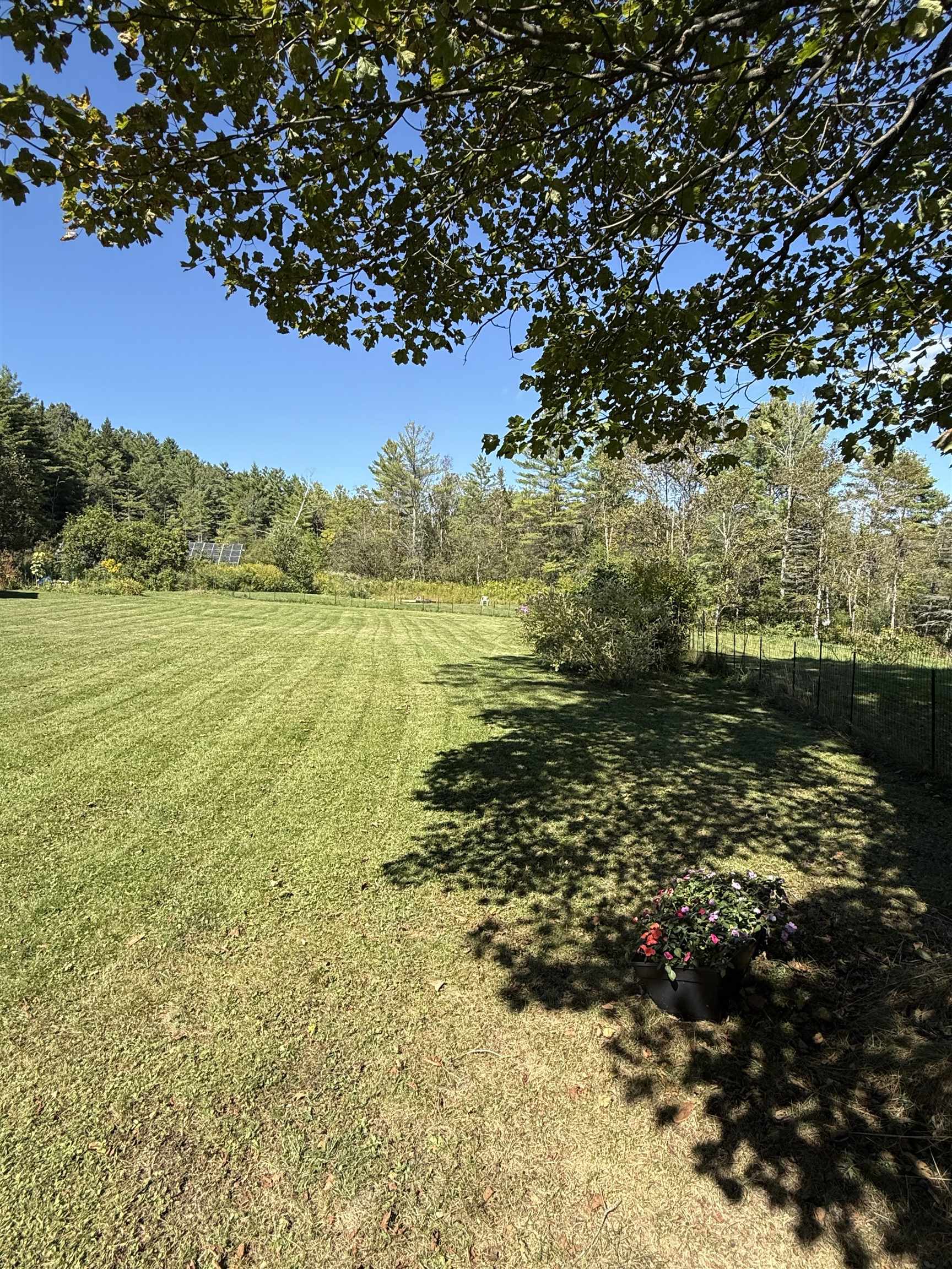 1153 Highway 66 Randolph, VT 05060 - Photo 19 of 26