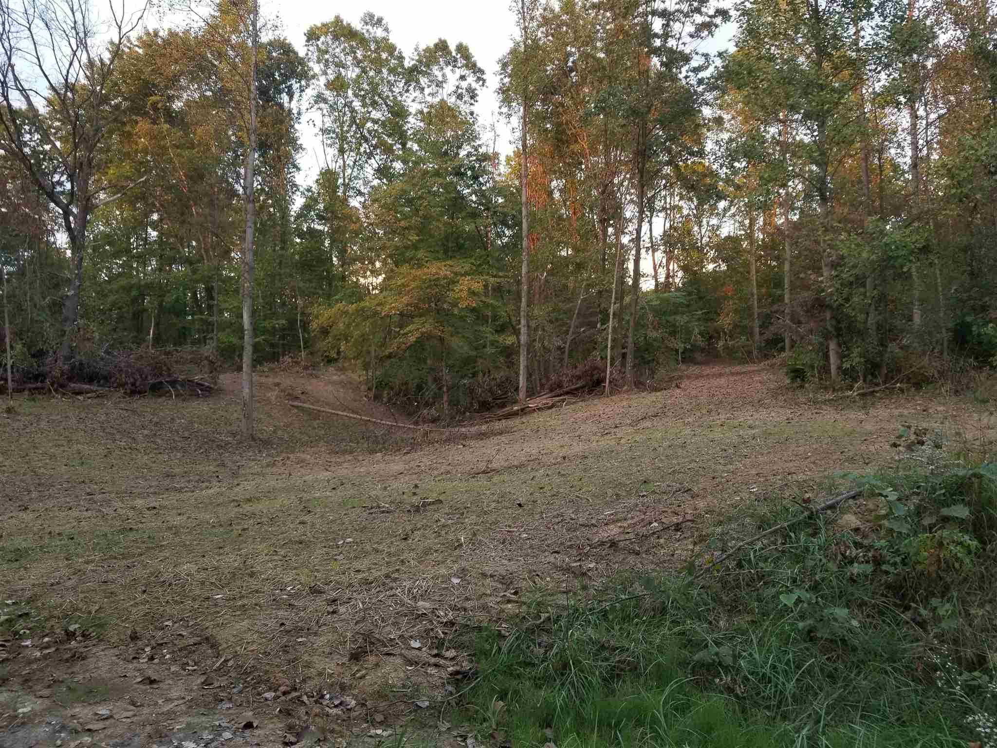 8059 Watkins Spring Solsberry, IN 47459 - Photo 2 of 3