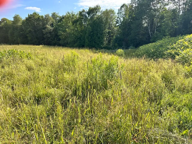 $65,000 | 4 C Carmichael Road, Littleton, ME 04730