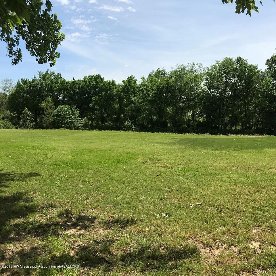 1972 Baptist Road Nesbit, MS 38651 - Photo 4 of 16 4