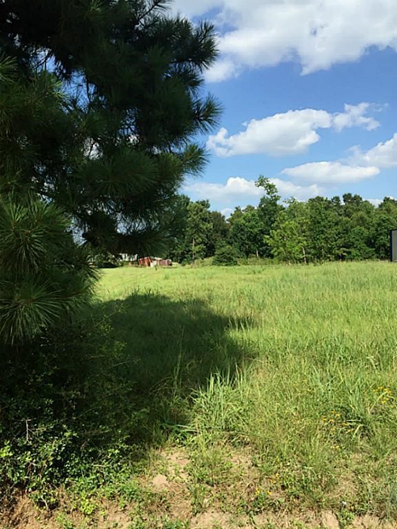 0 Ulrich Road Tomball, TX 77375 - Photo 2 of 4