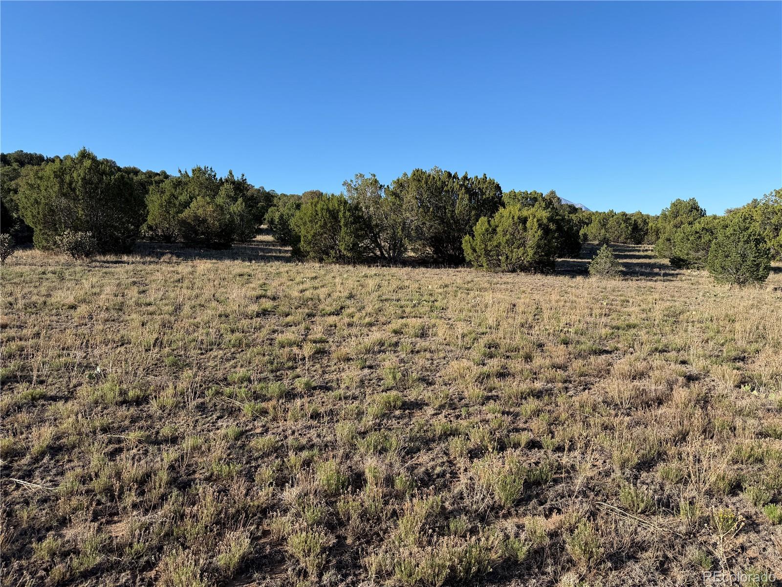 Lot 141 River Ridge Ranch Walsenburg, CO 81089 - Photo 17 of 28 Gallery Image 17