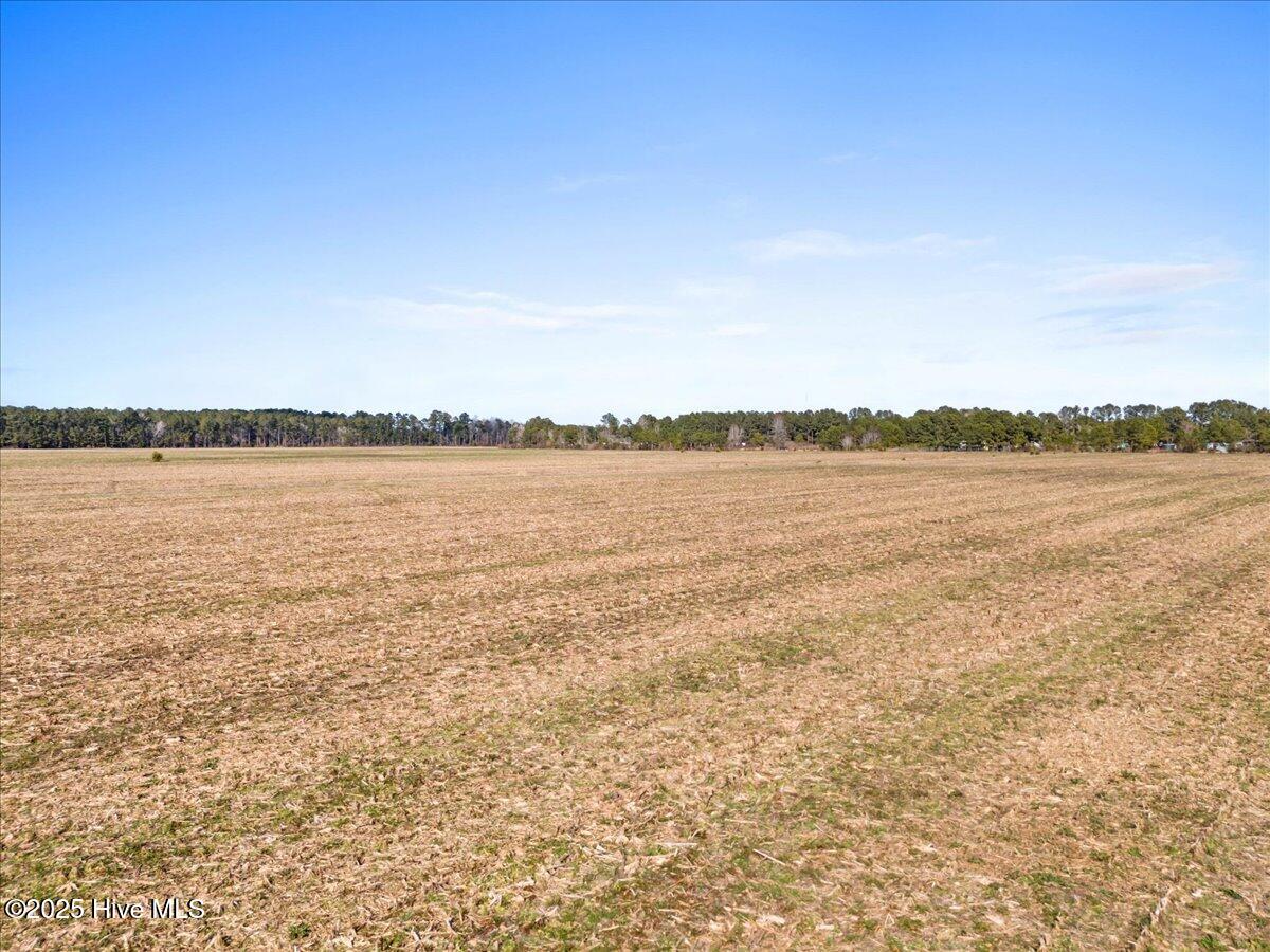 80.35-ac Maco Road Northeast Leland, NC 28451 - Photo 7 of 12 80.35ac Maco Rd