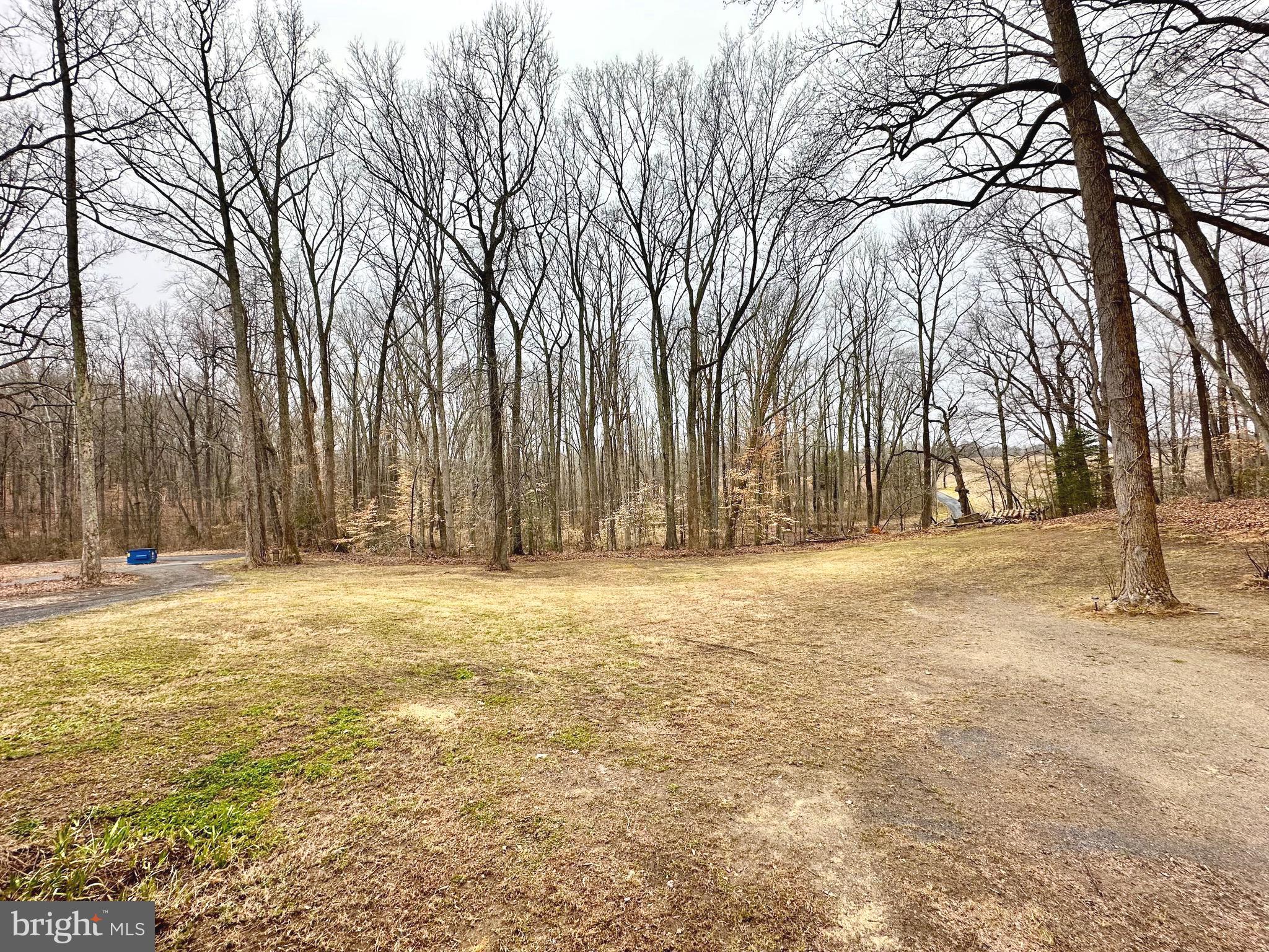 38842 Foley Mattingly Road Mechanicsville, MD 20659 - Photo 11 of 13