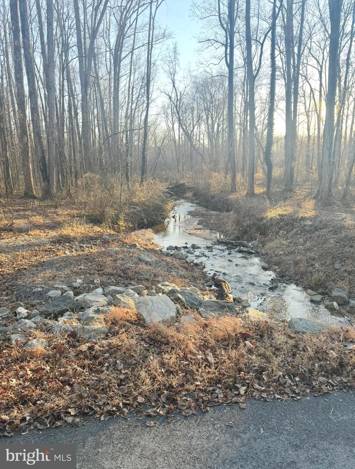 38842 Foley Mattingly Road Mechanicsville, MD 20659 - Photo 13 of 13