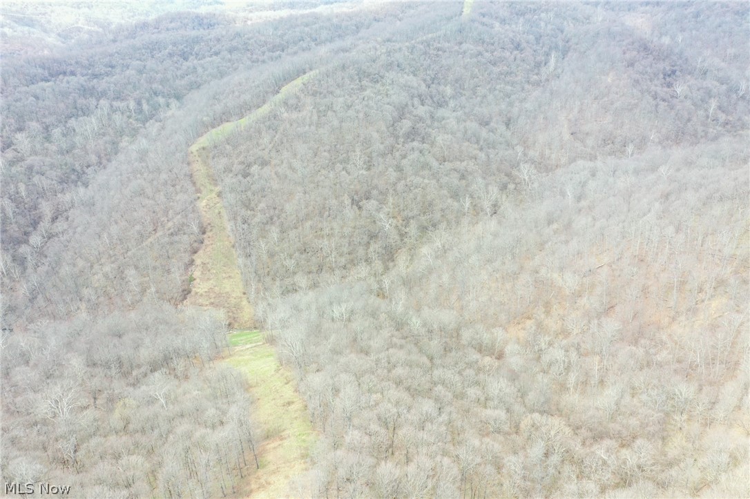 56835 Stephens Road Jacobsburg, OH 43933 - Photo 23 of 50
