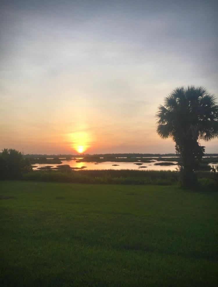 156 Egret Road St. Augustine, FL 32086 - Photo 44 of 44 a view of an ocean from a yard