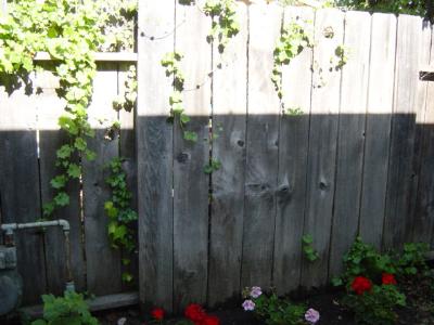 732 Agnew Place Santa Rosa, CA 95401 - Photo 2 of 4 Gallery Image 2