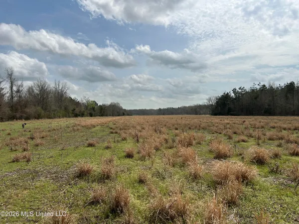 $799,900 | Robinson-thompson Road Winona Ms 38967, Winona, MS 38967