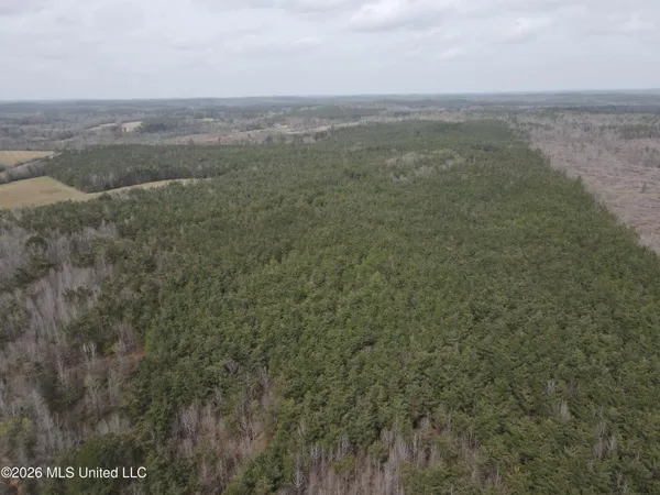 $799,900 | Robinson-thompson Road Winona Ms 38967, Winona, MS 38967