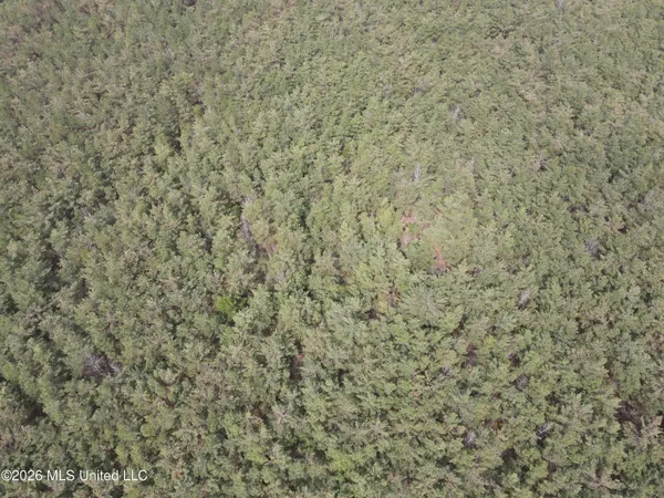 $799,900 | Robinson-thompson Road Winona Ms 38967, Winona, MS 38967