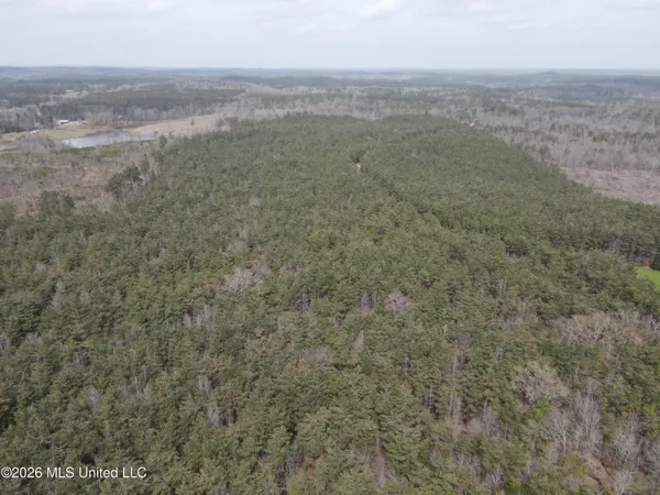 $799,900 | Robinson-thompson Road Winona Ms 38967, Winona, MS 38967