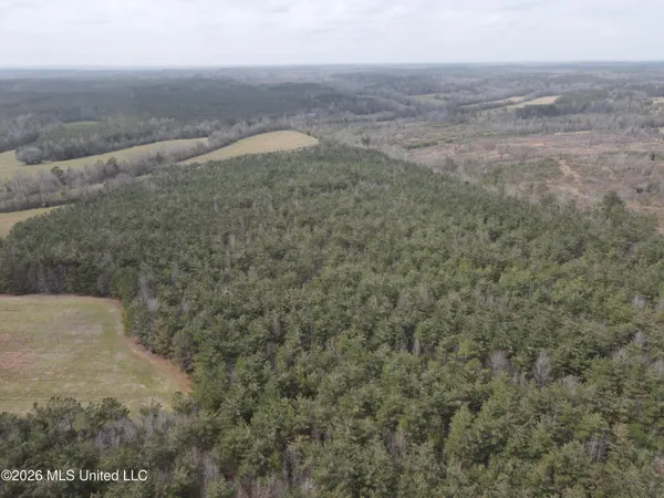 $799,900 | Robinson-thompson Road Winona Ms 38967, Winona, MS 38967