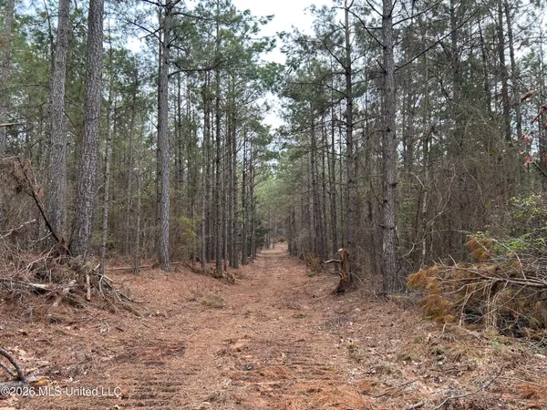 $799,900 | Robinson-thompson Road Winona Ms 38967, Winona, MS 38967