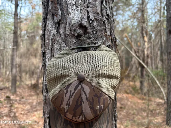 $799,900 | Robinson-thompson Road Winona Ms 38967, Winona, MS 38967