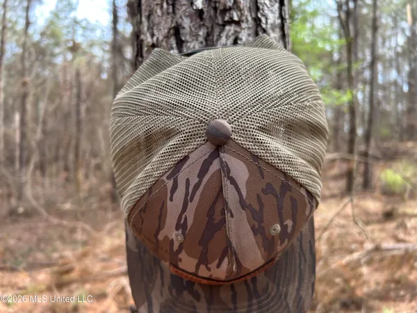 $799,900 | Robinson-thompson Road Winona Ms 38967, Winona, MS 38967