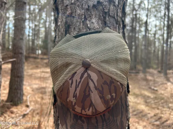 $799,900 | Robinson-thompson Road Winona Ms 38967, Winona, MS 38967