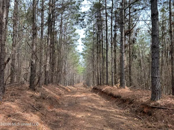 $799,900 | Robinson-thompson Road Winona Ms 38967, Winona, MS 38967