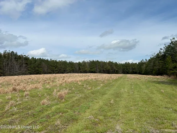 $799,900 | Robinson-thompson Road Winona Ms 38967, Winona, MS 38967