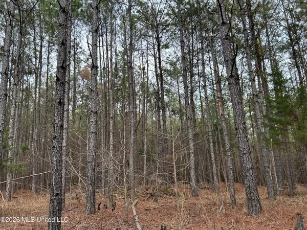 $799,900 | Robinson-thompson Road Winona Ms 38967, Winona, MS 38967