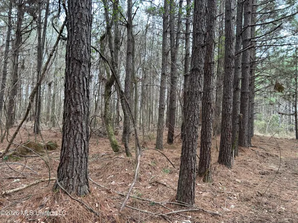 $799,900 | Robinson-thompson Road Winona Ms 38967, Winona, MS 38967