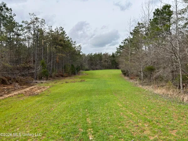 $799,900 | Robinson-thompson Road Winona Ms 38967, Winona, MS 38967