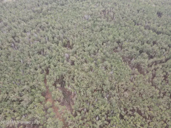 $799,900 | Robinson-thompson Road Winona Ms 38967, Winona, MS 38967