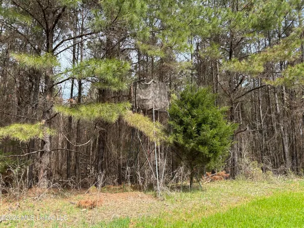 $799,900 | Robinson-thompson Road Winona Ms 38967, Winona, MS 38967