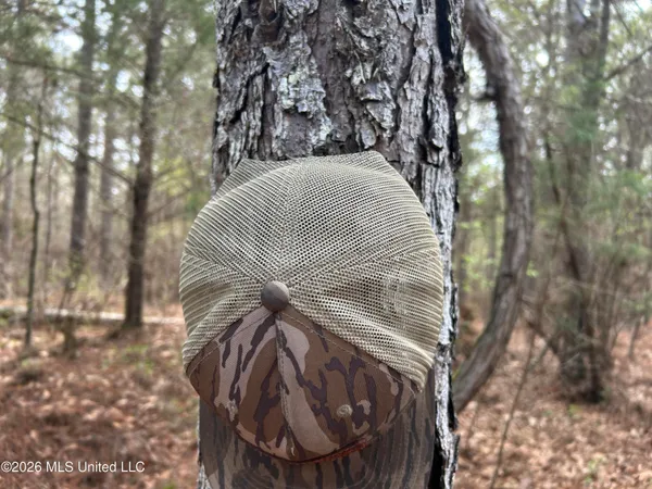 $799,900 | Robinson-thompson Road Winona Ms 38967, Winona, MS 38967