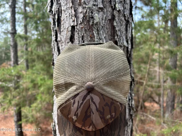 $799,900 | Robinson-thompson Road Winona Ms 38967, Winona, MS 38967