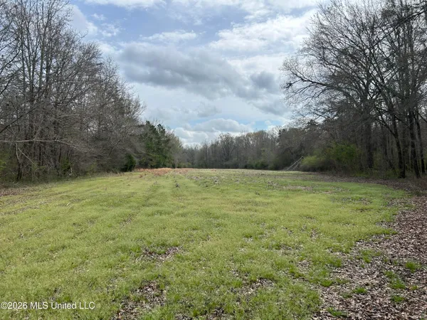 $799,900 | Robinson-thompson Road Winona Ms 38967, Winona, MS 38967