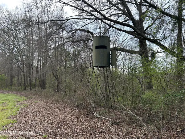 $799,900 | Robinson-thompson Road Winona Ms 38967, Winona, MS 38967