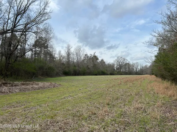 $799,900 | Robinson-thompson Road Winona Ms 38967, Winona, MS 38967