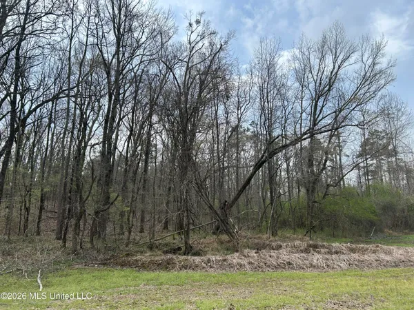 $799,900 | Robinson-thompson Road Winona Ms 38967, Winona, MS 38967