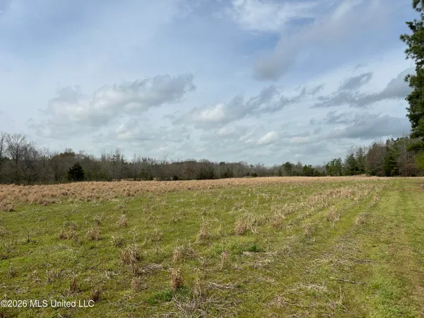 $799,900 | Robinson-thompson Road Winona Ms 38967, Winona, MS 38967