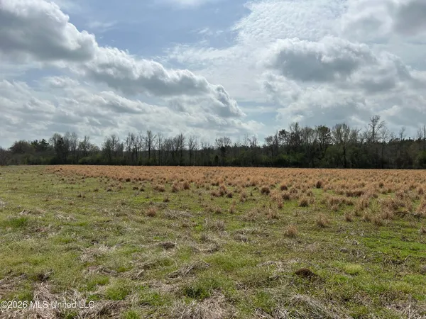 $799,900 | Robinson-thompson Road Winona Ms 38967, Winona, MS 38967