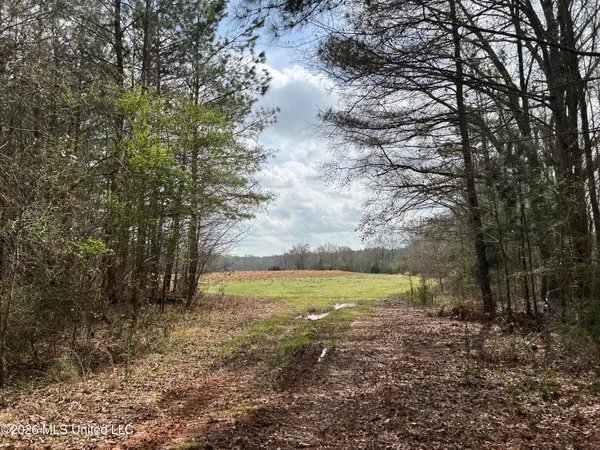 $799,900 | Robinson-thompson Road Winona Ms 38967, Winona, MS 38967