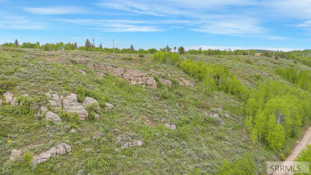 1542 West Rim Loop Ashton, ID 83420 - Photo 6 of 8 Aerial