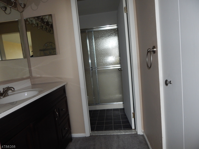 54 Wescott Road Bedminster, NJ 07921 - Photo 8 of 9 a bathroom with a sink and mirror