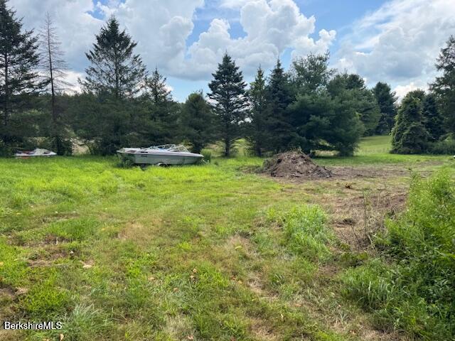 11 Rowe Road Alford, MA 01230 - Photo 7 of 11 a view of backyard with green space