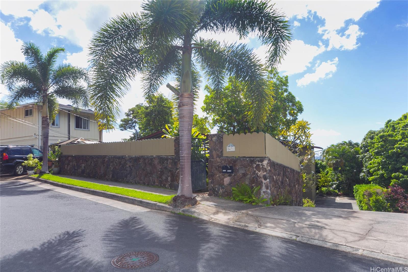 a view of a park with palm trees