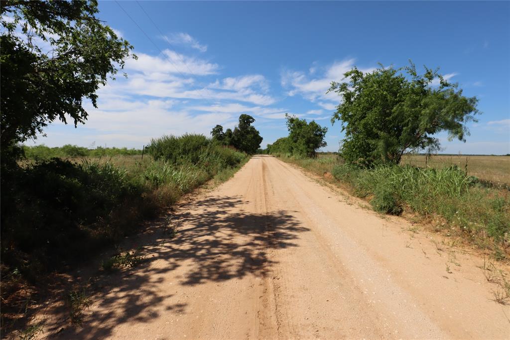 807 County Road 215 Rising Star, TX 76471 - Photo 4 of 9