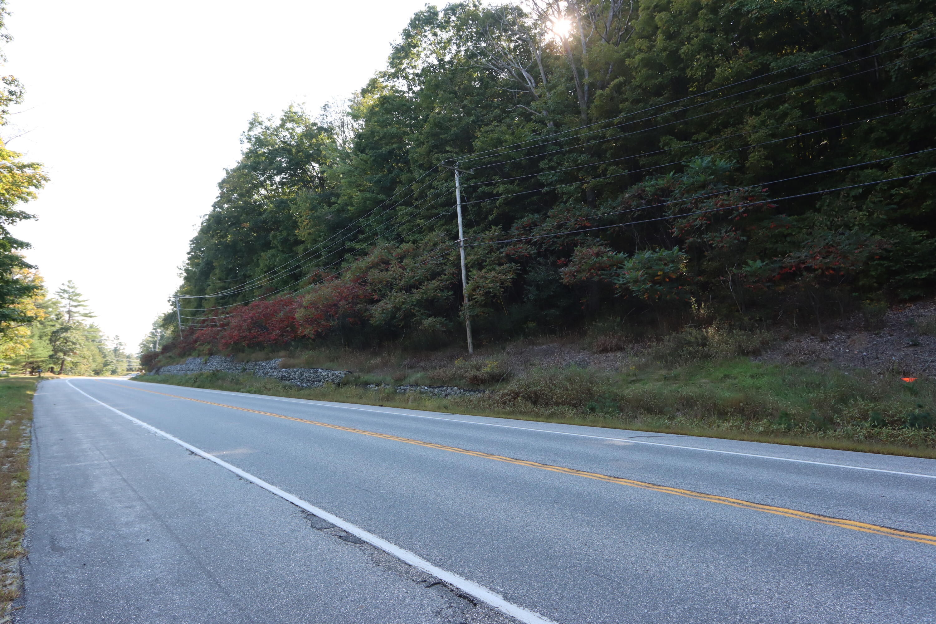Lot 21 Auburn Road Turner, ME 04282 - Photo 7 of 8 IMG_9641